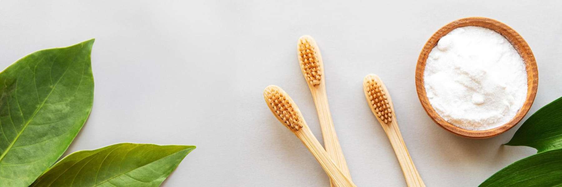 image of toothbrushes in centennial 